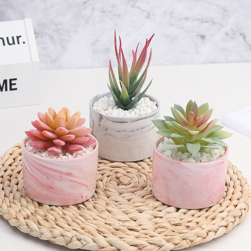 Mini Succulent Plants Artificial Decoration Plants Potted Succulents Plastic Grass