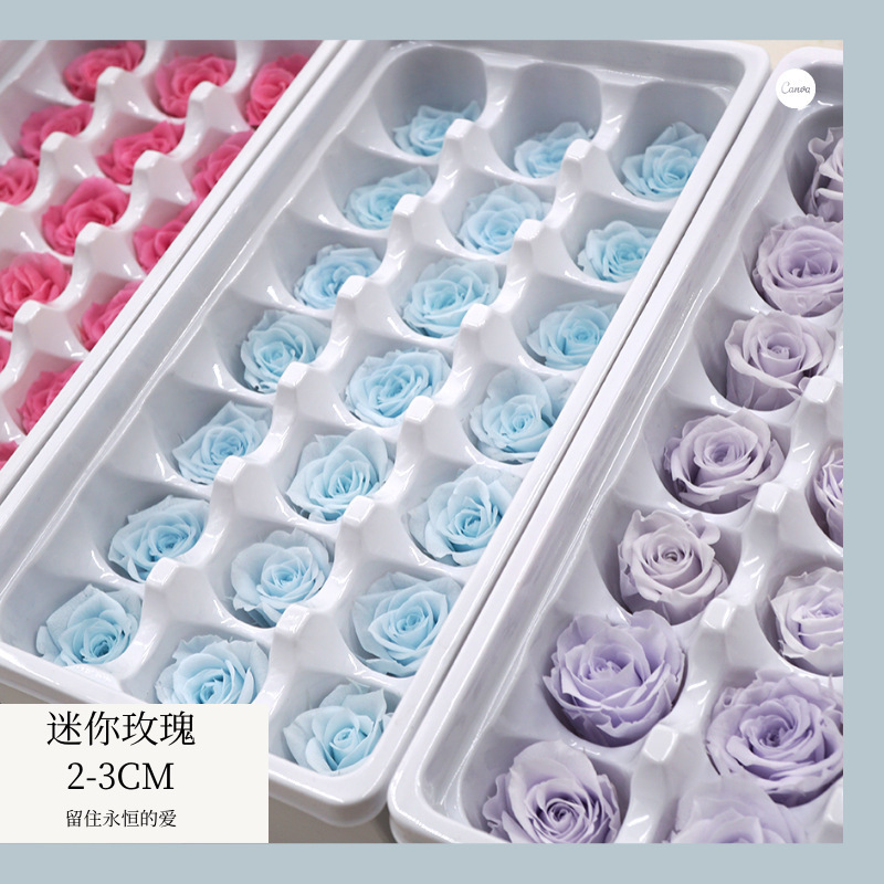 B Grade 2-3 cm eternal flower Immortal roses preserved real fresh roses head white box rosas eternas