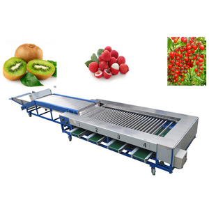 Cherry Tomatoes Sorting Machine Lychee Lemon Sorting Machine Roller Type Fruit Grading Machine