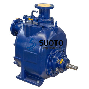 Electric Motor High Suction Lift Sewage Pump Running automatic