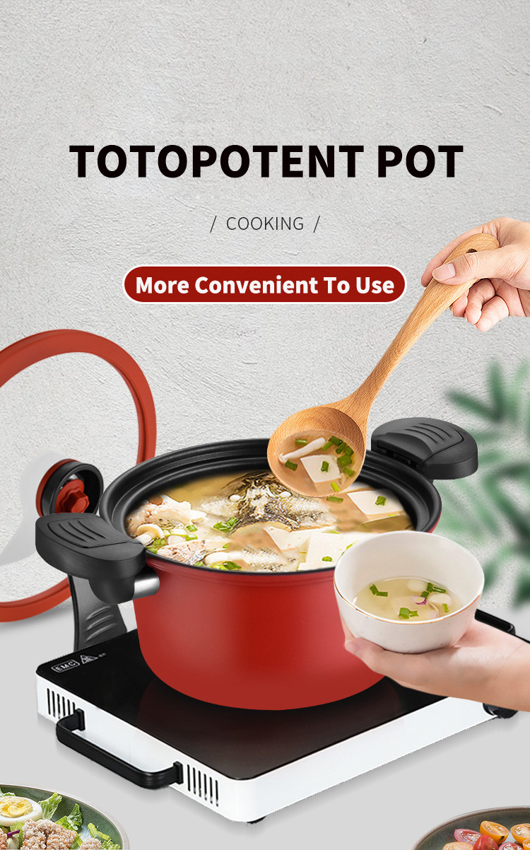 Hot Sale Household The Iron Low Pressure Cooker Makes A Soup Pot Gas Pressure Cooker For Home totipotent pot