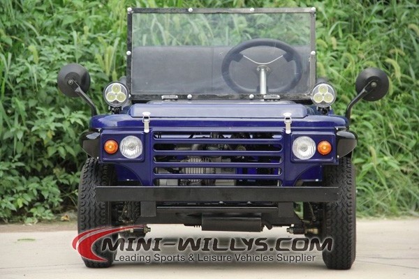 China Zhejiang mini  willys 150cc mini atv cars