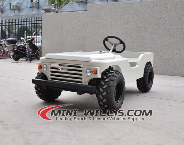 Off Road Gas UTV Petrol Willys Mini