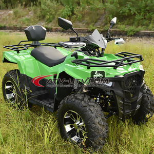 Adult 250cc 4wheeler For Adults 49cc Quad 4x4 Tires 22x10-10 300cc ATV