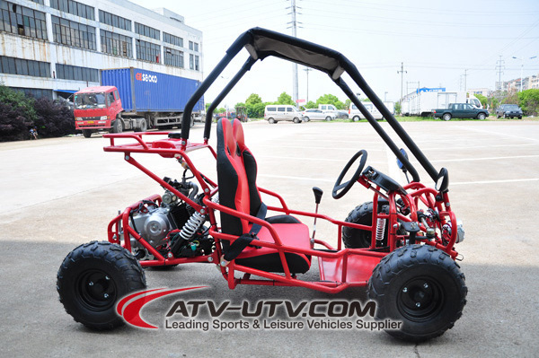 Hot Selling 2 Seater Go Kart Dune Buggy with 4 Wheel