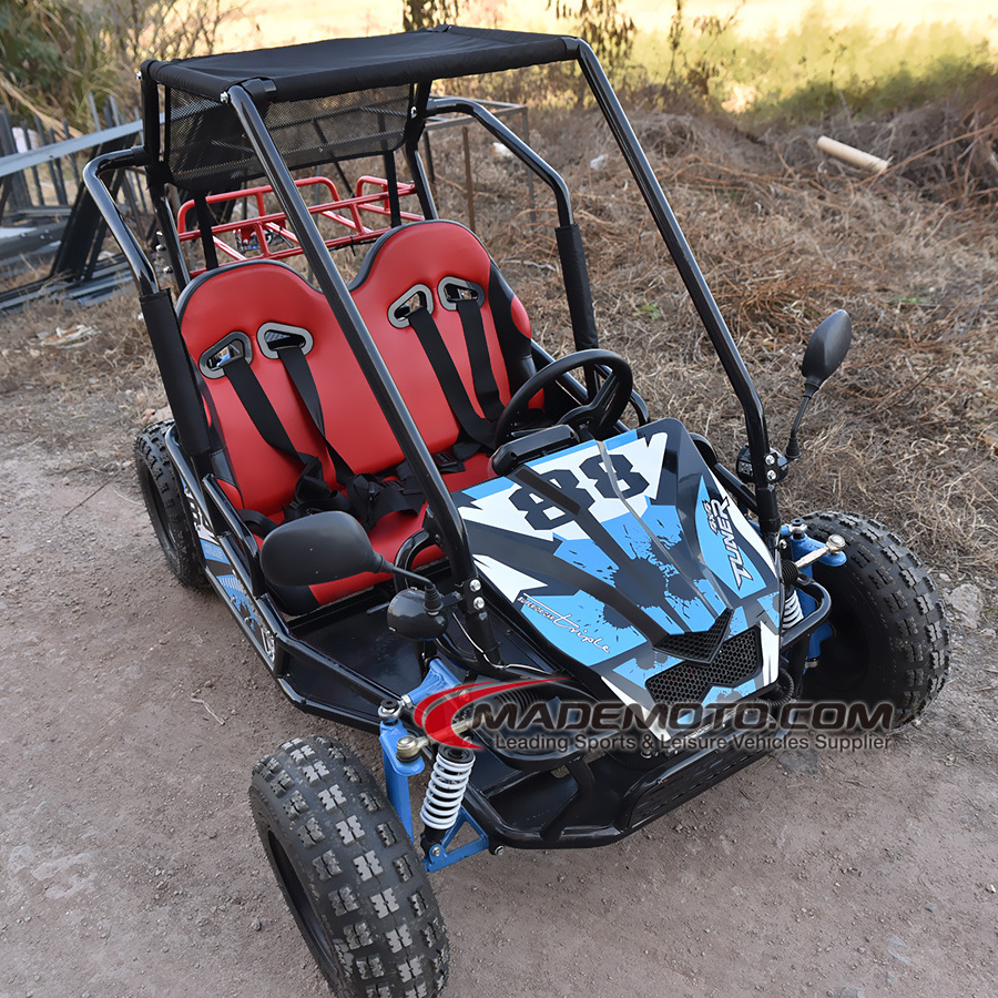 Buy Wholesale Quality 175cc 275cc Automatic 4 Stroke Dune Buggy For Adults,Gas Powered Go Kart For Sal