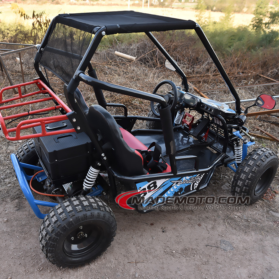 Qwmoto Racing Adult Go Kart Buggy 1200W 1500W Cheap Gas Powered Go Karts For Sale