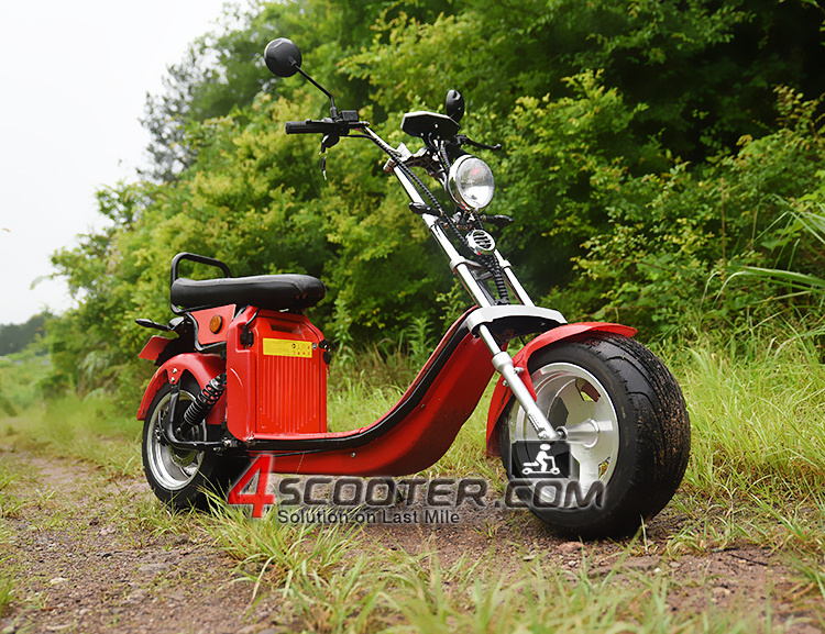 gas scooters 4 stroke 50 cc MS0504EEC/EPA