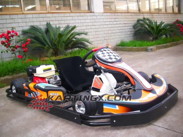 Popular outdoor 6.5HP Street Legal Go Karts for sale