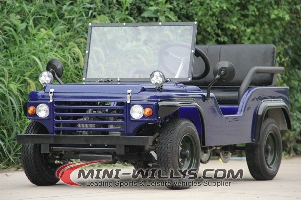 China Zhejiang mini  willys 150cc mini atv cars