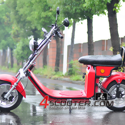 EEC/EPA DOT Approved 250cc Gas Motor Scooter