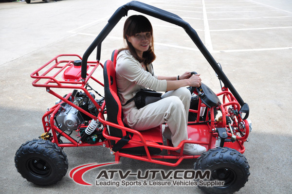 Hot Selling 2 Seater Go Kart Dune Buggy with 4 Wheel