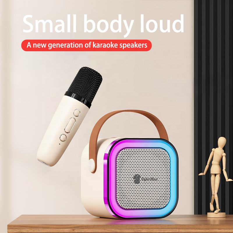 Home Theater Wireless Portable Speaker Mini Amplifier Speaker Subwoofer with Microphone