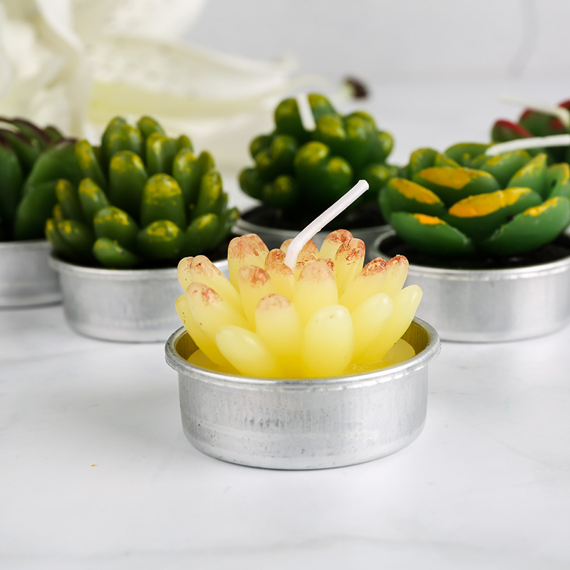 Gift set succulent Green Plants Mini Cactus Tealight Candle