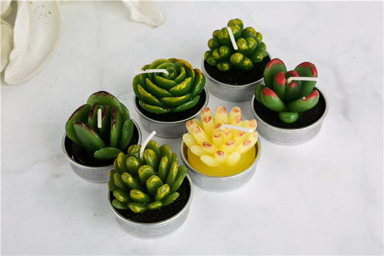 Gift set succulent Green Plants Mini Cactus Tealight Candle