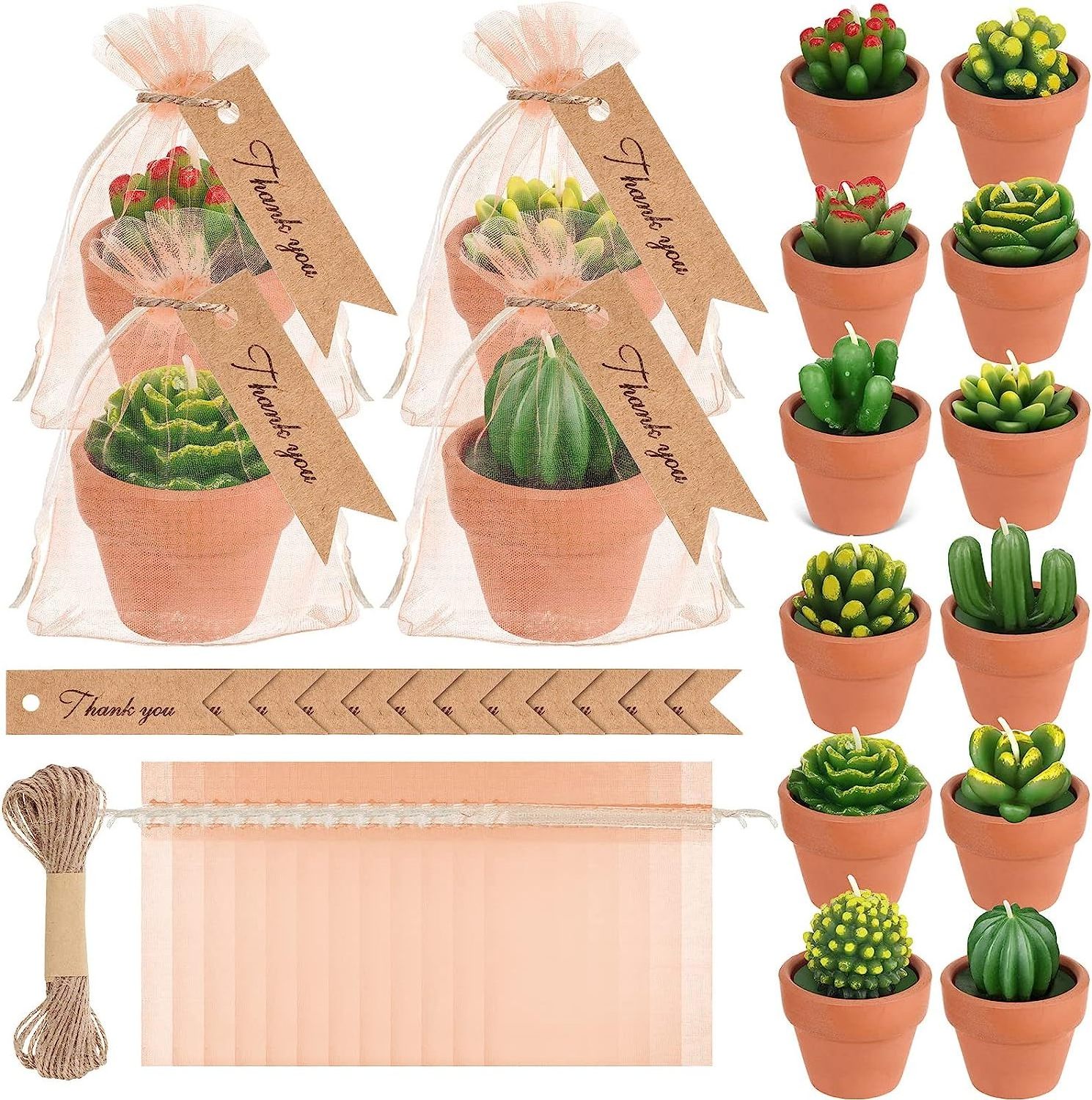 Succulent Plant Candle Mini Cactus Tealight Candles for Wedding Souvenirs for Guests