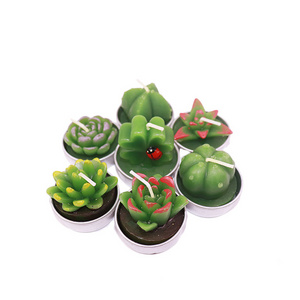 Gift set succulent Green Plants Mini Cactus Tealight Candle