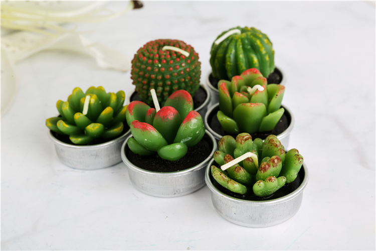 Gift set succulent Green Plants Mini Cactus Tealight Candle