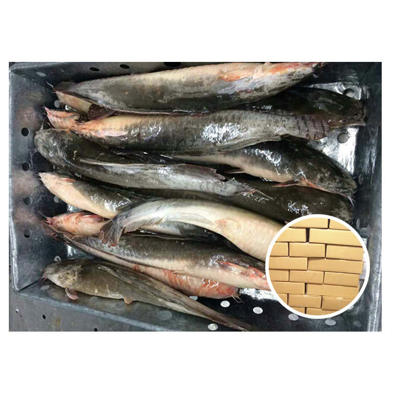 Cat Fish Exporters Big Size Catfish Food Buyers Whole Round Frozen Catfish For African Market