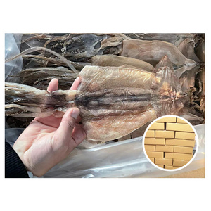 Cumi kering china export fresh seafood FD dried squid dry stock fish