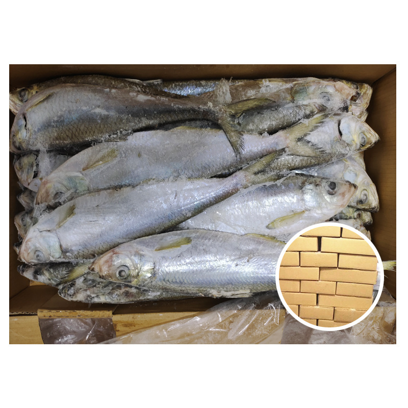 frozen Chinese bulk herring fish slender shad from Japan