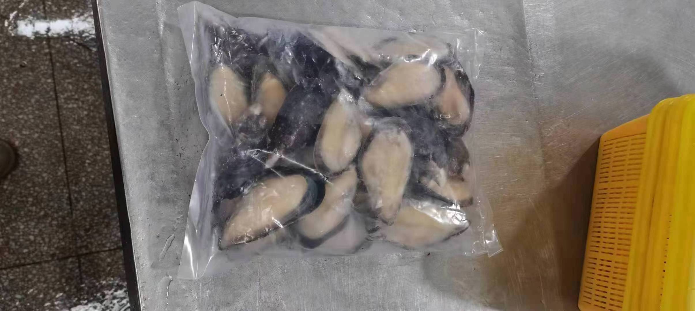 Good Quality Size 8-10CM Frozen Half Shell Mussel