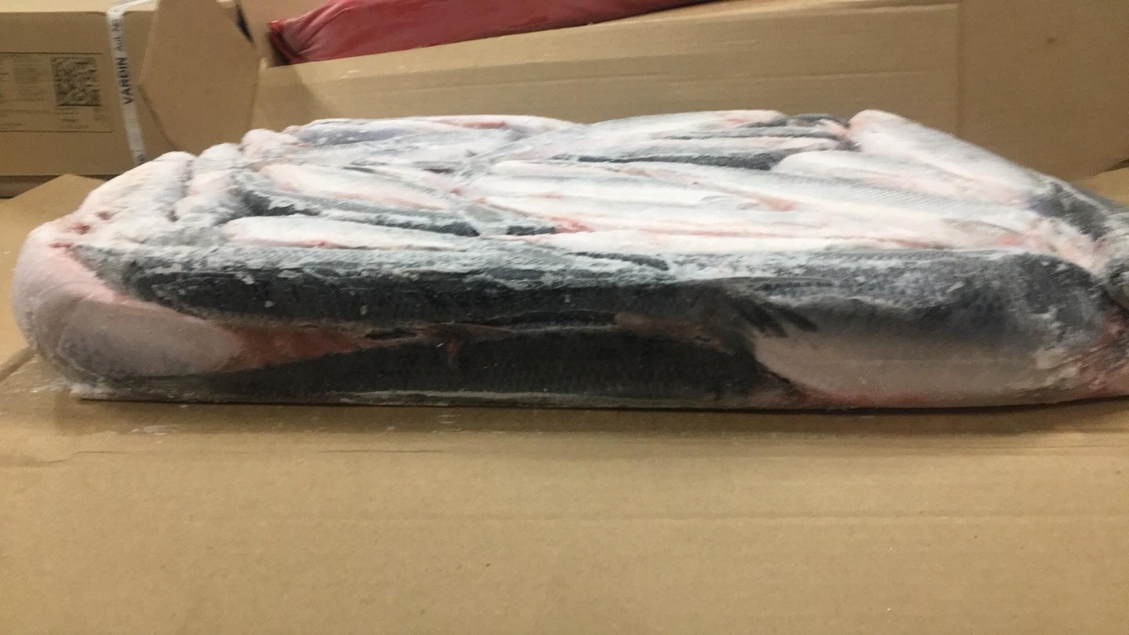 High Nutritious Fat Fish 200-400g 300-500g Frozen Herring Fish For West Africa