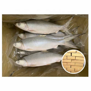 Taiwan Origin IQF WR 300-500g 500-800g Frozen Milk Fish