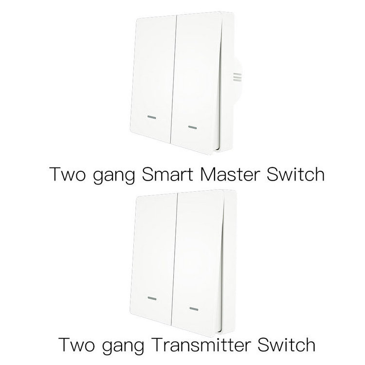 Easy Installation 2 Gang Tuya Smart Home Automation Remote Control Voice Control Wifi Wall Switch Smartlife