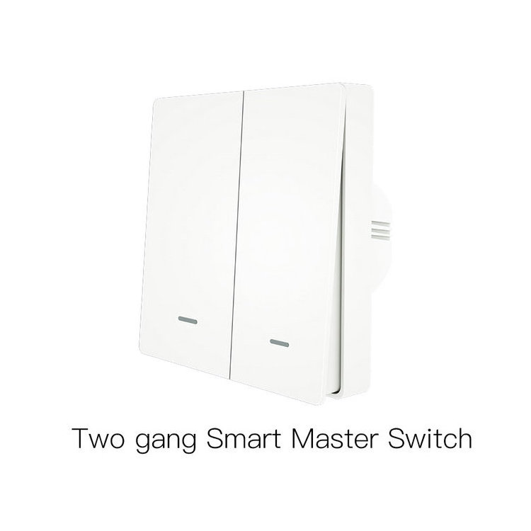 Easy Installation 2 Gang Tuya Smart Home Automation Remote Control Voice Control Wifi Wall Switch Smartlife