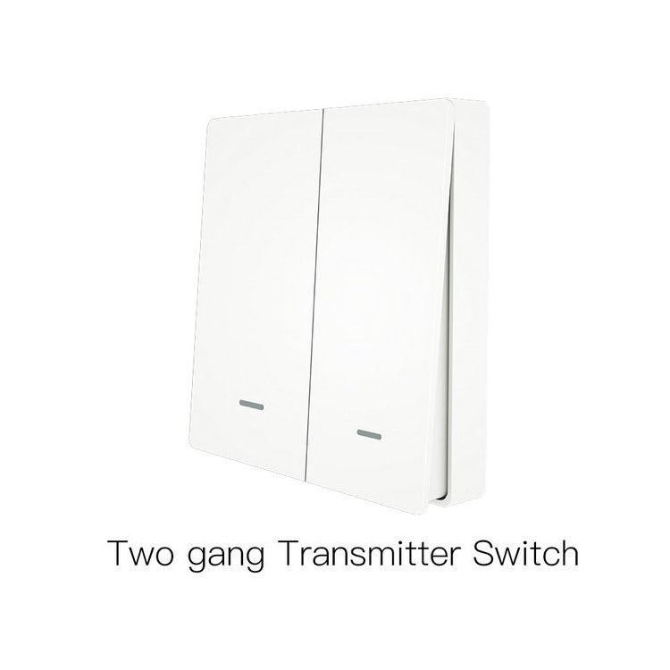 Easy Installation 2 Gang Tuya Smart Home Automation Remote Control Voice Control Wifi Wall Switch Smartlife