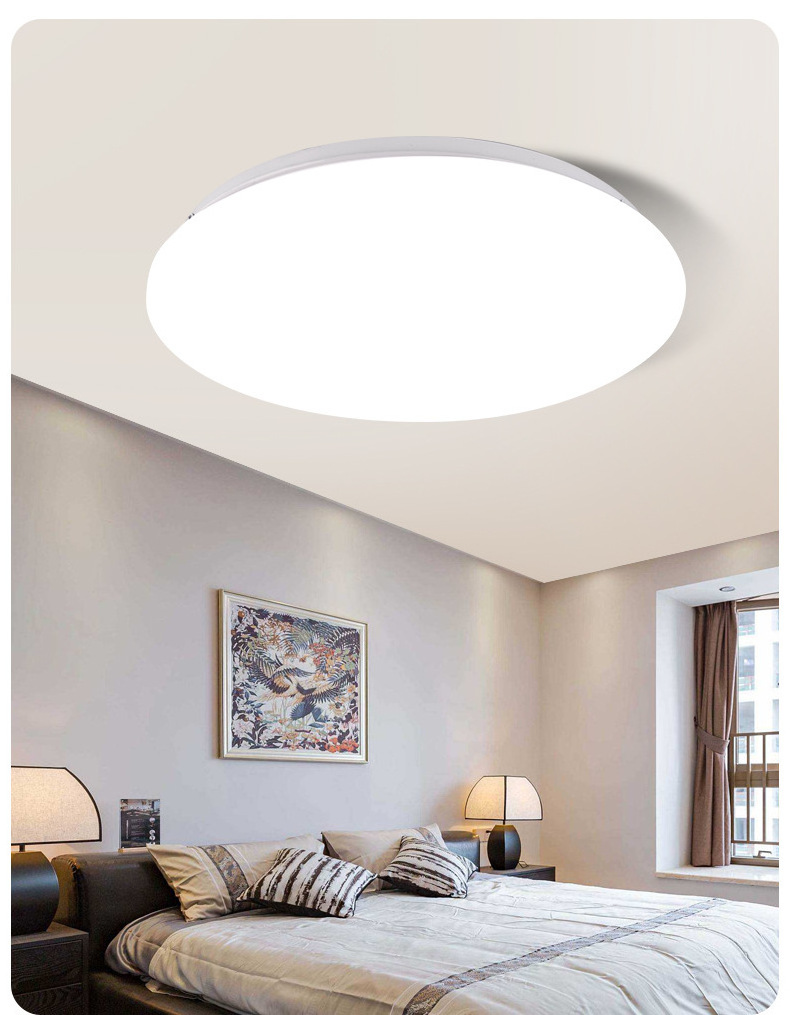 Modern Flush mount IP54 Dustproof  LED Ceiling light for Bedroom