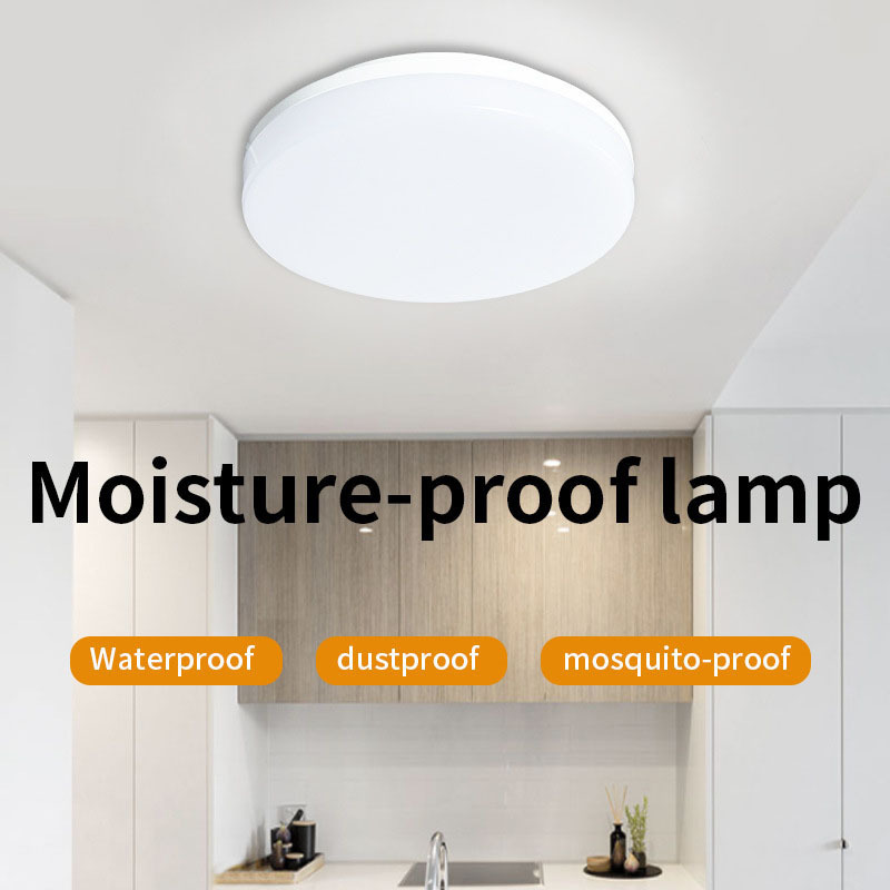 Modern Flush mount IP54 Dustproof  LED Ceiling light for Bedroom