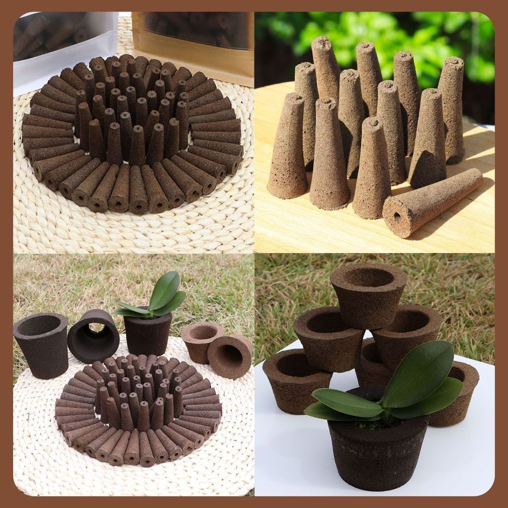 Soil Hydroponics Rapid Rooter Plant Seeds Starter Plug Pods Seedling Germination Trays With 50pcs Coco Coir Peat Grow Sponges