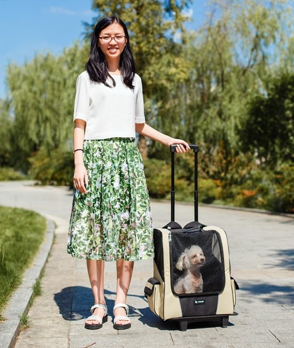 Pet Dog Cat Supplies Travel Luxury Cat Pet Stroller Dog Carrier with Wheels Newly Design 4 Wheel Airport Car Transport Outdoor