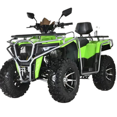 Big Tyre 200cc 2x4 ATV Bike 4 Wheeler ATV Quad For Adults