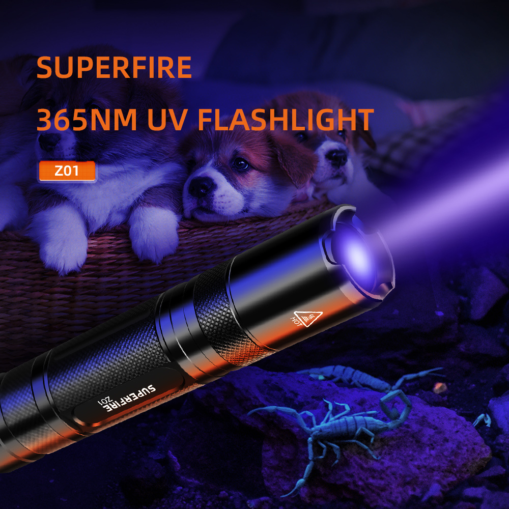 Mini Portable UV Flashlight Pet Inspection Rechargeable 365nm LED Flashlight