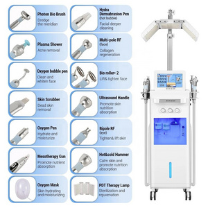 Professional 14 in 1 Facials PDT Light Therapy Wrinkle Remover Hydra Machine Facial Oxygen Infusion Machine