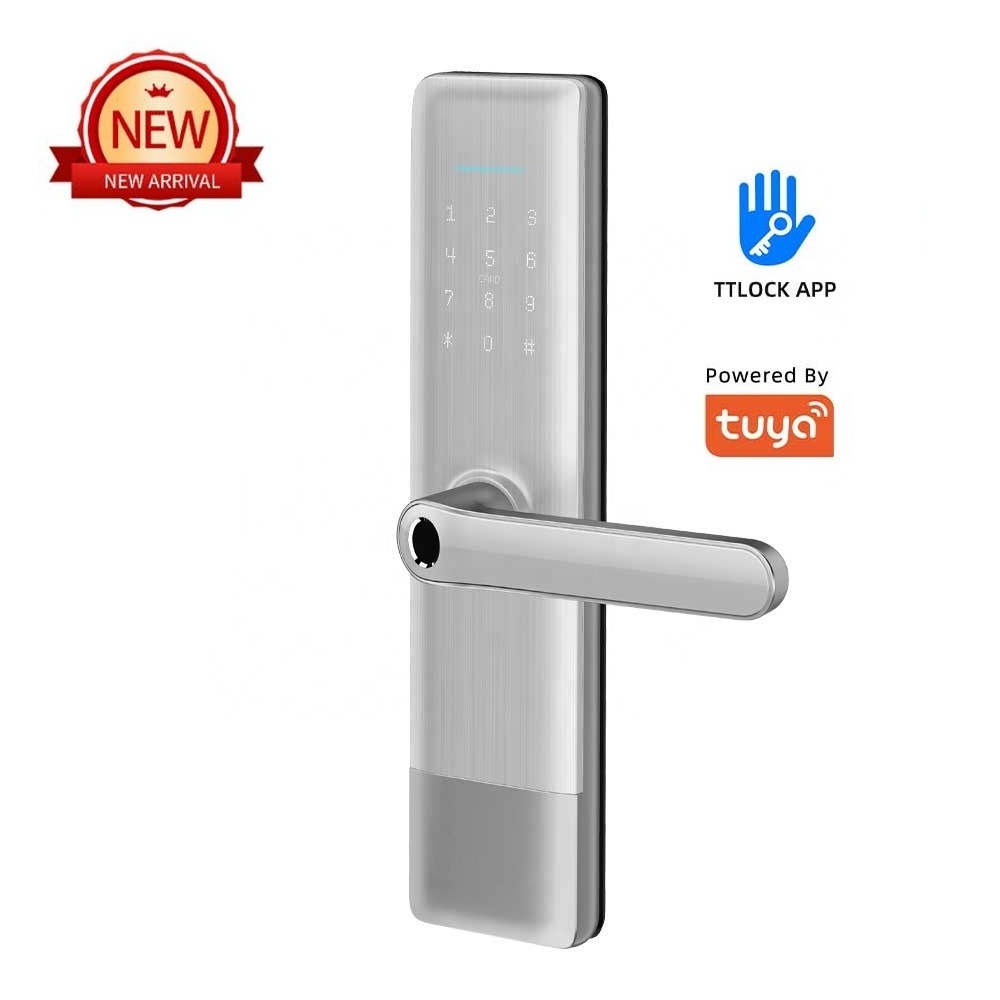 Fashion TT lock/Tuya WiFi BLE Mortise Lock touch Keypad Bio-metric Fingerprint Smart Handle password Door Lock