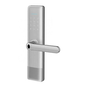 Fashion TT lock/Tuya WiFi BLE Mortise Lock touch Keypad Bio-metric Fingerprint Smart Handle password Door Lock