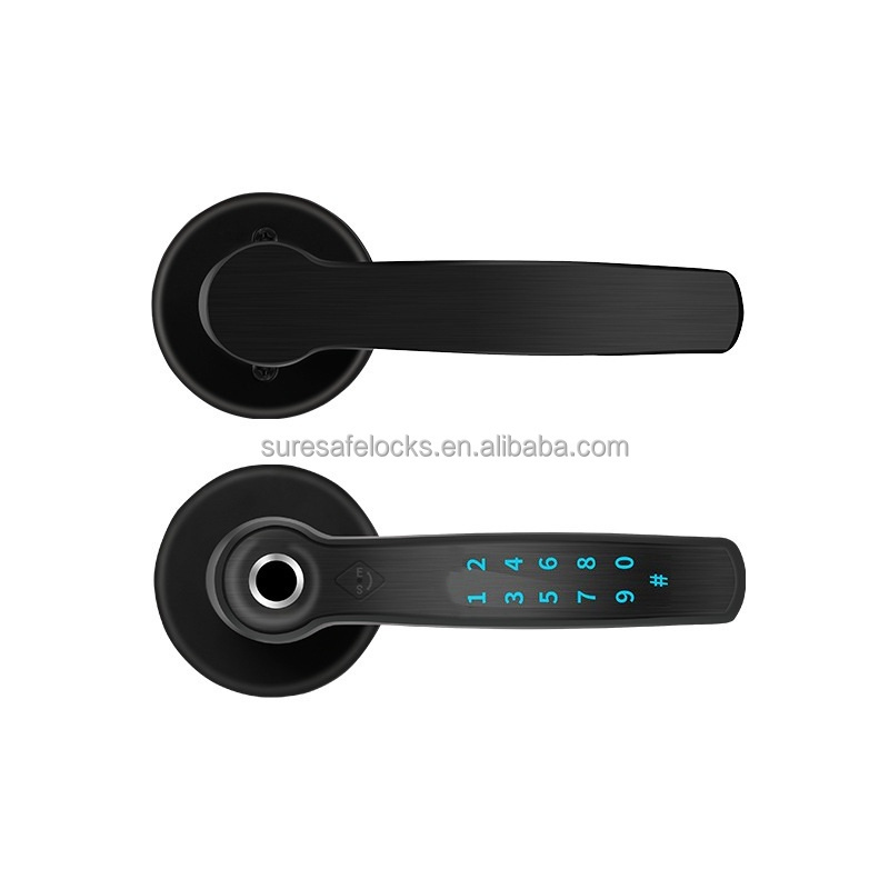 TTLOCK APP Electronic Smart Fingerprint Scanner lever handle Password Door Lock