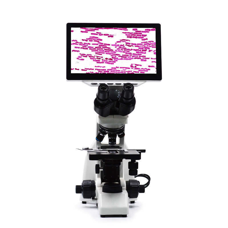 Pet Reliable Top Quality Veterinary Biological Microscope Full Hd Camera Veterinary Instrument