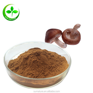 Dried shiitake mushroom extract powder, ahcc powder with best price, shiitake mushrooms 1kg