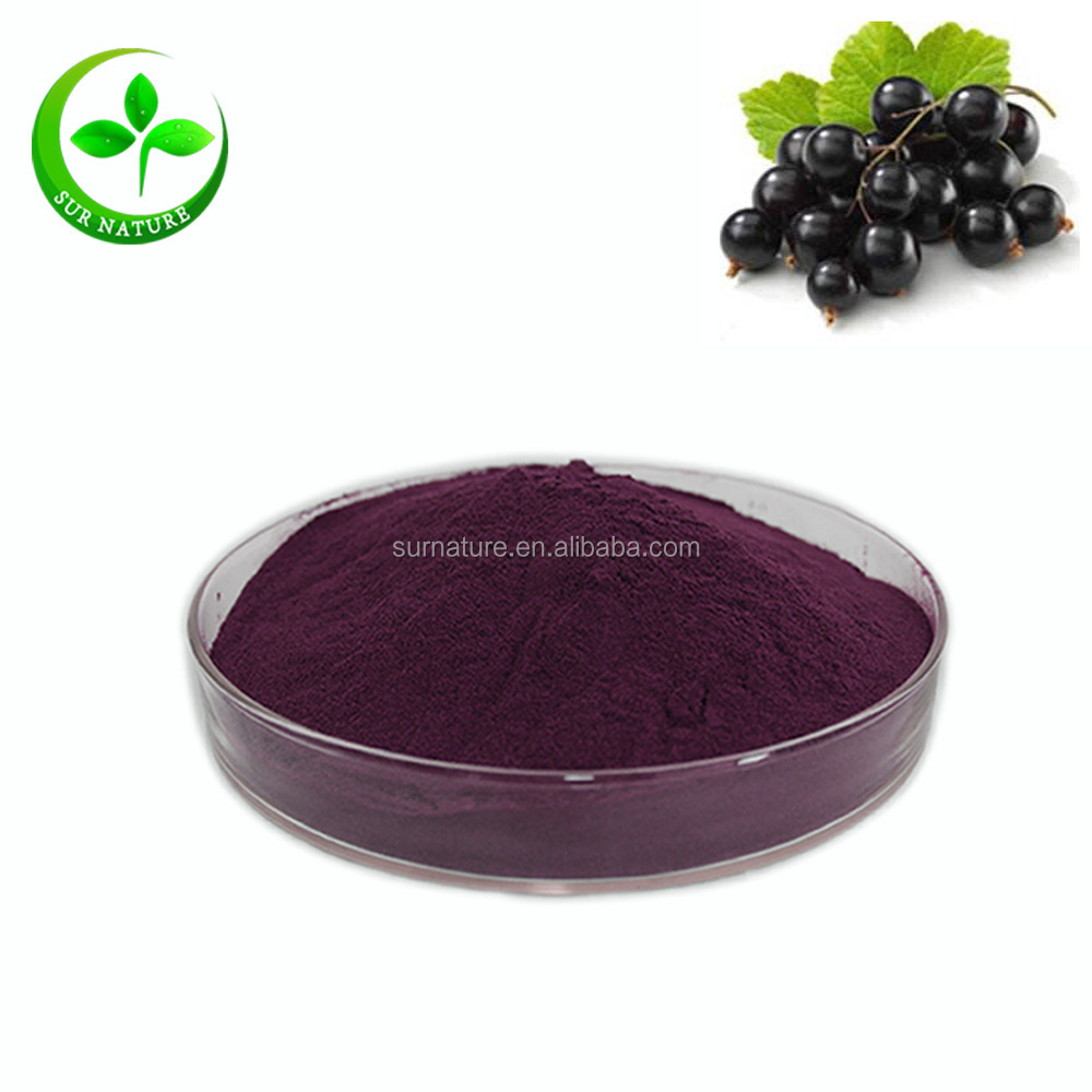 Wholesale dried black currant extract powder  Anthocyanidins