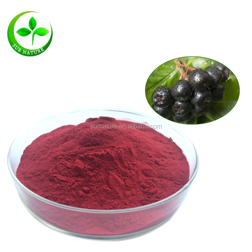 Fruit Powder Aronia Berry Juice Powder