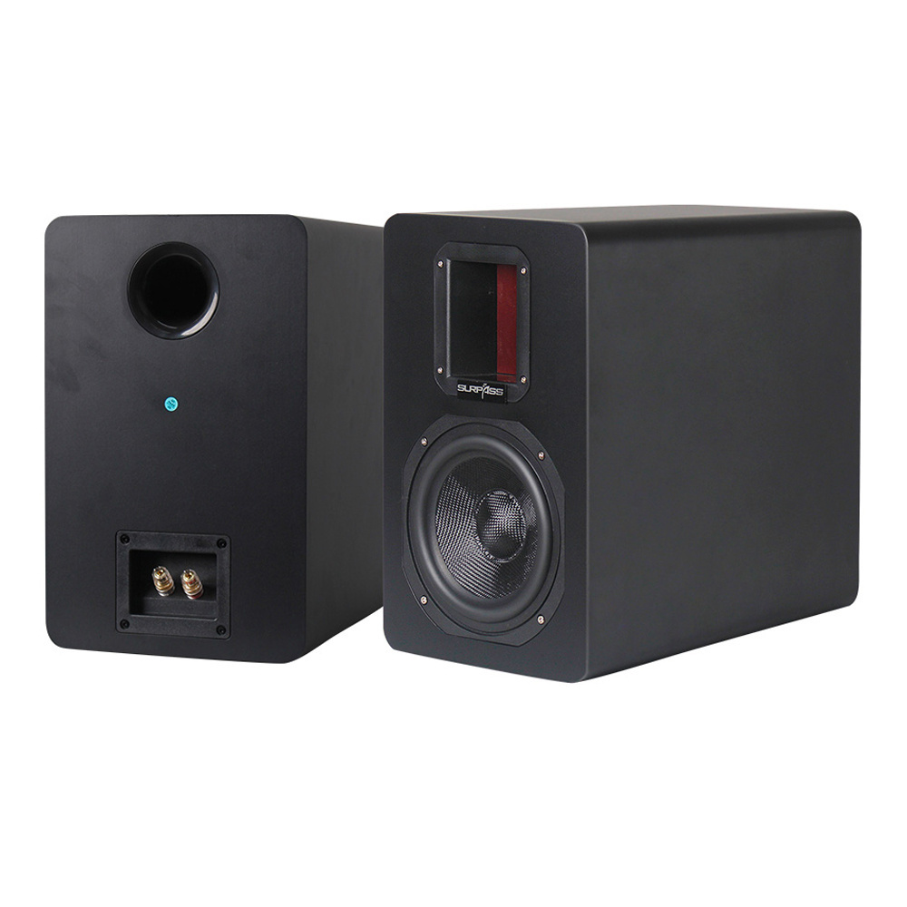 Surpass 6.5 inch carbon fiber subwoofer Powered Active  Background Music System Professional Amplifier