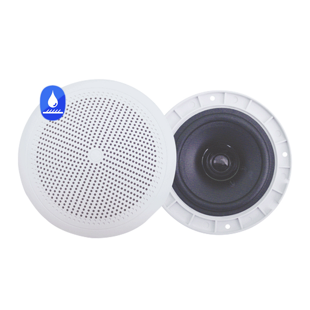 Surpass Professional Outdoor Waterproof 6.5 Inch Marine Audio Sound System Ceiling Speaker