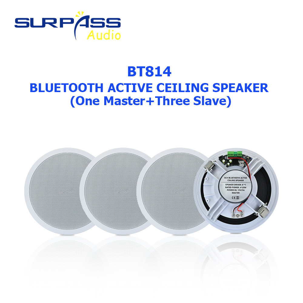 Wireless Stereo Sound System Blue-tooth Ceiling Speaker for Home Hotel Multi Area Background Music System