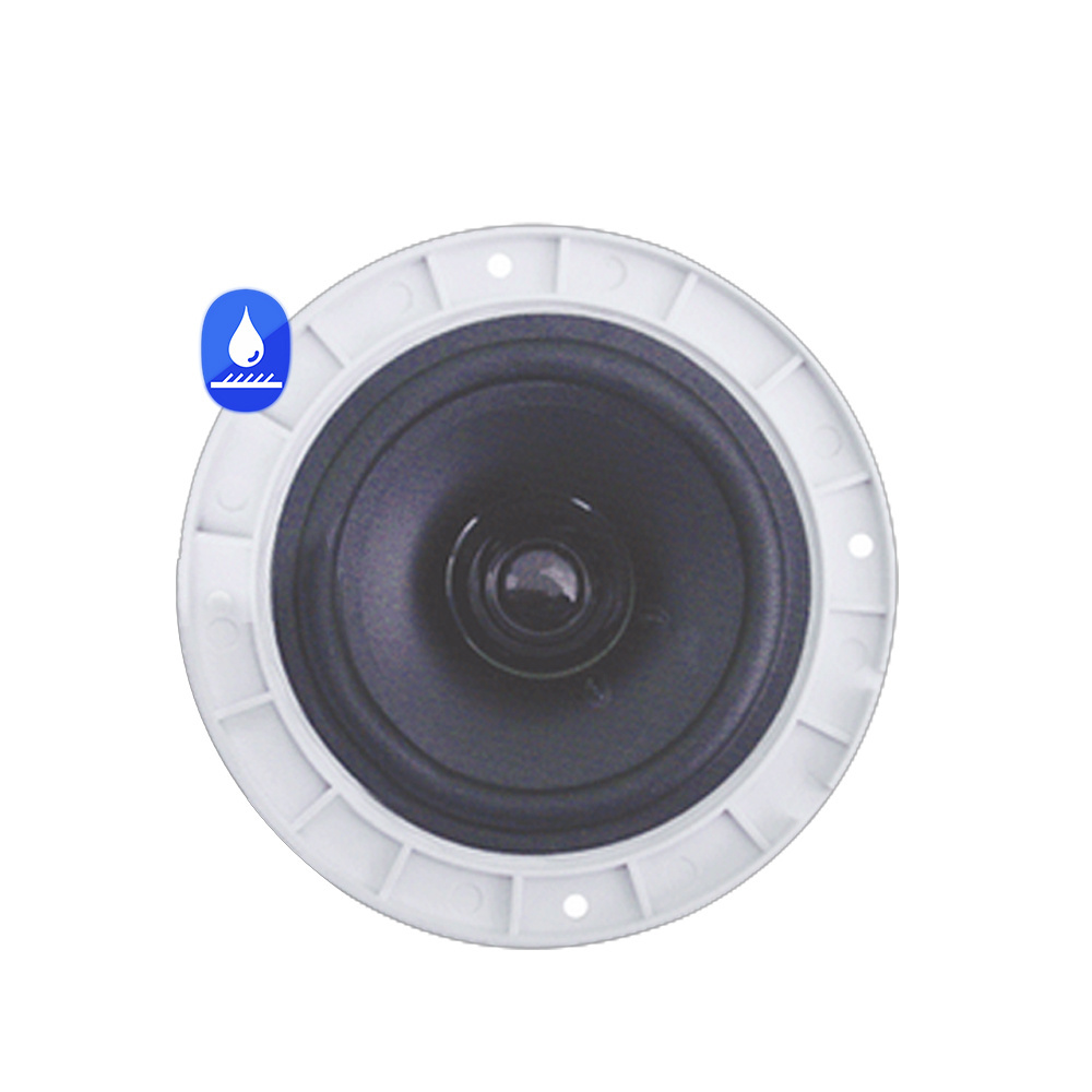 Surpass Professional Outdoor Waterproof 6.5 Inch Marine Audio Sound System Ceiling Speaker