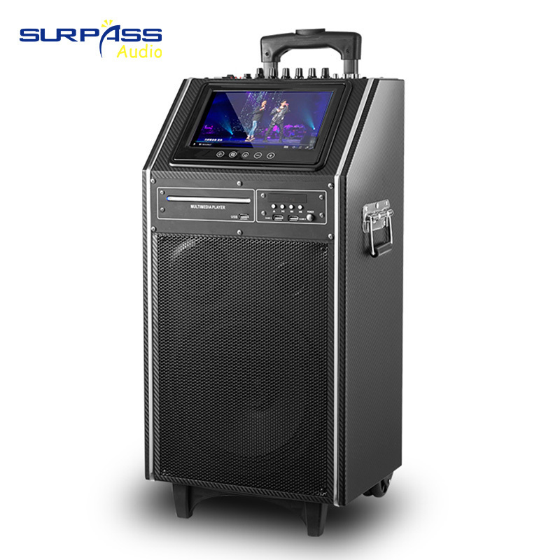 TV10A 9 Inch HD Screen Display 300W Strong Bass Blue-tooth Active Party Speaker Karaoke Portable Outdoor Trolley Speaker